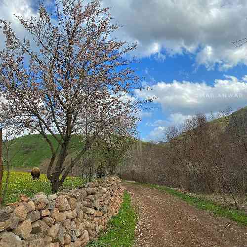 معین فتحی بلال بلال ای گل گل بختیاری